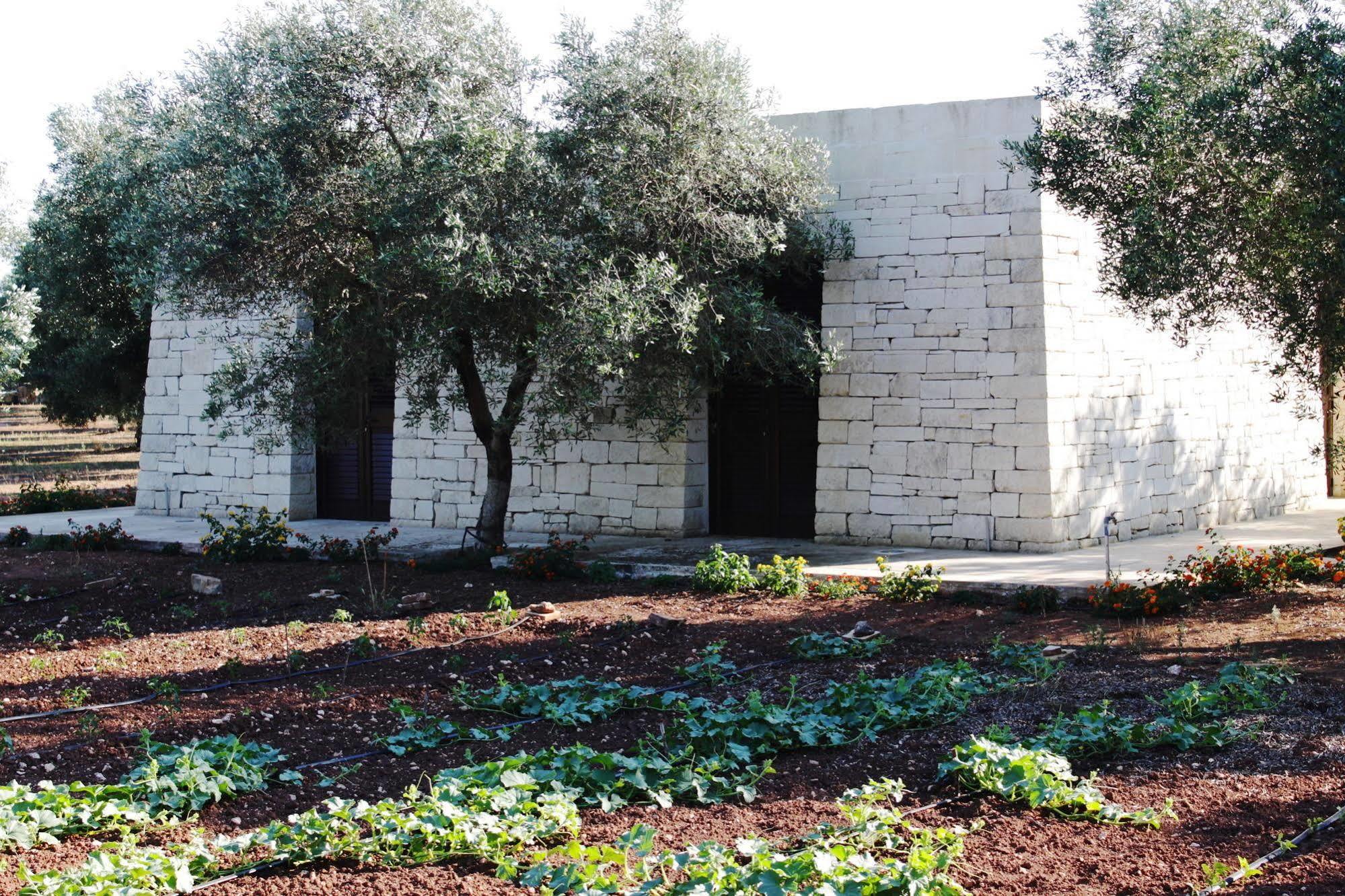 Tenuta Pigliano Hotel Bagnolo del Salento エクステリア 写真